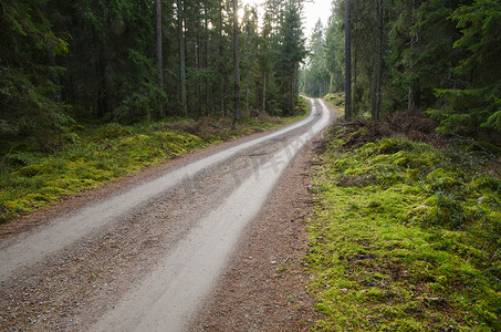 森林石子路摄影照片_有一条蜿蜒石子路的绿色环境