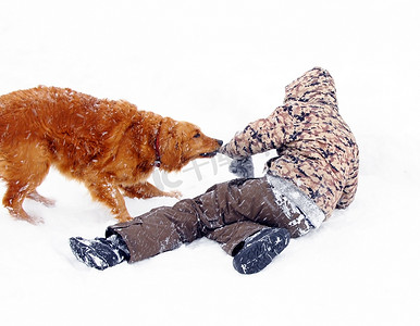 男孩在雪地里和狗玩耍