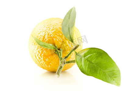 带叶子的甜橙水果