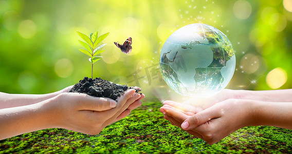 概念拯救世界拯救环境世界在绿色散景背景的草丛中