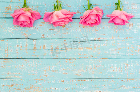 浅蓝色木头上有新鲜粉红玫瑰框的情人节背景