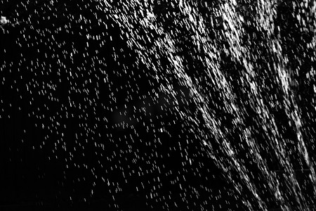 露珠背景摄影照片_黑色背景上的水滴