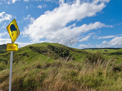 注意猕猴桃横穿 Roadsign 和 NZ 景观