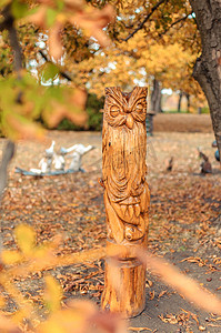 “森林公园里的木制猫头鹰图腾。可以看到与雕刻雕像相同类型的树木。秋天公园里的木制偶像雕刻，围绕着黄色的树木。”