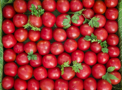 小号鲜红色的成熟西红柿。