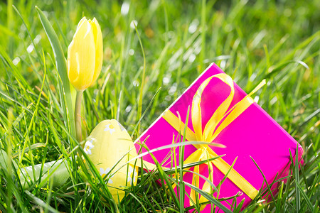 带复活节彩蛋和黄色郁金香的粉色礼盒