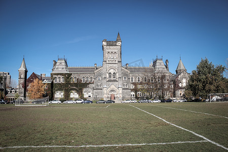 多伦多大学学院，在多伦多