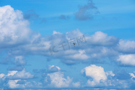 一只鸟在清澈的蓝天上飞翔，在海洋上堆起白云