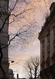 巴黎街道摄影照片_在巴黎街道的日落