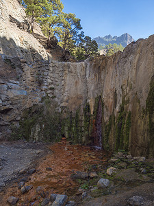 Cascada de Colores 小瀑布位于 Caldera de Taburiente 的火山口，几乎是干涸的瀑布，水流因矿泉水而色彩缤纷。