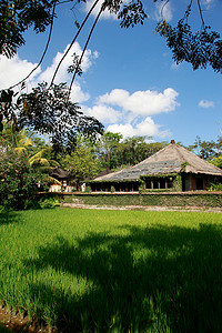 巴厘岛小屋。