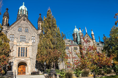 多伦多大学三一学院