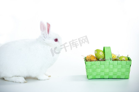 面对复活节彩蛋篮子的白兔子