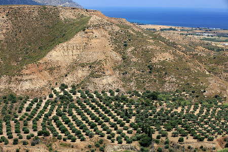 从安蒂马基亚要塞看到的卡达美纳周围的橄榄树。
