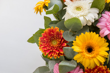 明亮美丽的花束，有黄色、橙色和红色的花朵、雏菊、碎片、特写。由五颜六色的非洲菊、菊花制成的花卉质地。