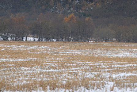 雪覆盖的斯堪的纳维亚生活方式农田