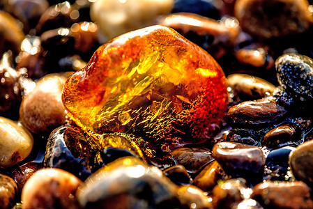 珠宝宝石摄影照片_波罗的海海滩上的琥珀