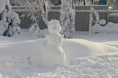 来自胡萝卜鼻子的大雪人。