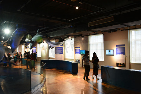马尼拉国家自然历史博物馆海洋生物展览