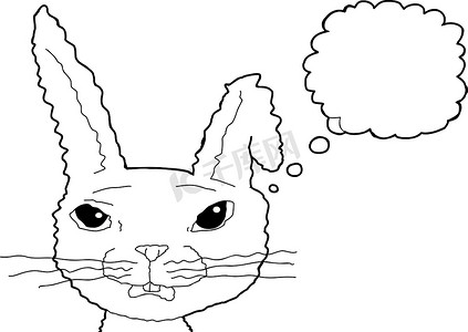 概述惊讶的兔子思维