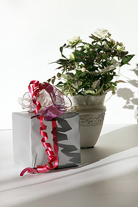 包装好的花摄影照片_漂亮的包装礼物，背景是玫瑰