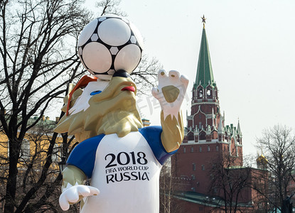 2018世界杯摄影照片_足球世界杯