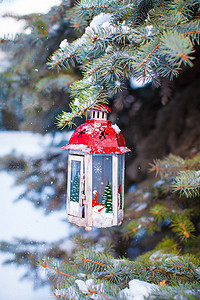 冷杉树枝上挂着降雪的圣诞灯笼