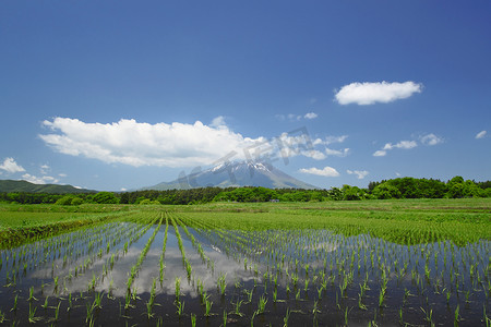 日本风情摄影照片_岩手山和田园风光