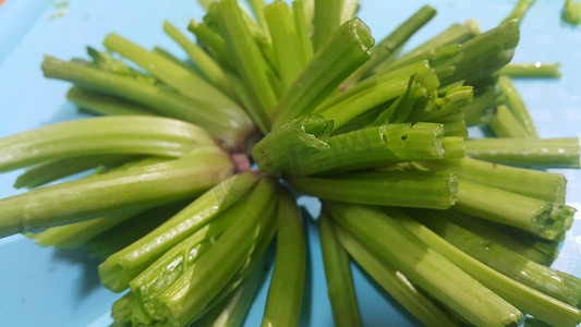 菠菜或 paalak saag 郁郁葱葱的绿叶基地的近景