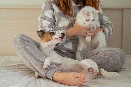 抱着狗摄影照片_白种女人坐在床上，抱着一只毛茸茸的白色猫和杰克罗素梗犬。
