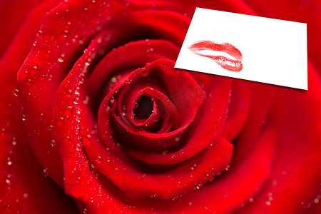 带露珠的红玫瑰变焦复合图像