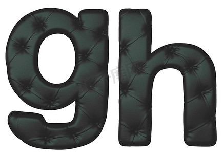 豪华黑色皮革字体 G H 字母