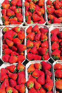 待售的新鲜红草莓