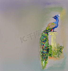 寒假招生艺术字摄影照片_灰色纸背景上的水彩孔雀鸟