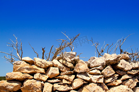 地中海干树枝和砖石墙