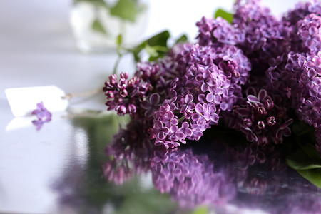 美丽的紫色春天的花朵与礼品标签。