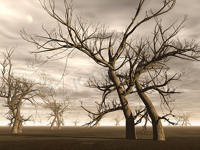 死树-3d 渲染