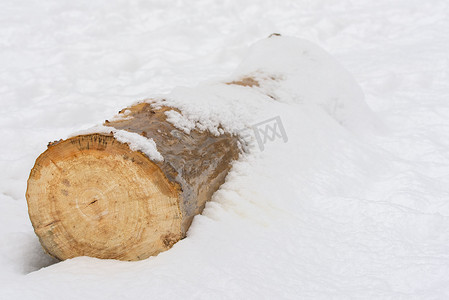 强势登入摄影照片_登入雪地