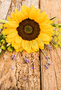 感恩母亲节摄影照片_黄色向日葵花束
