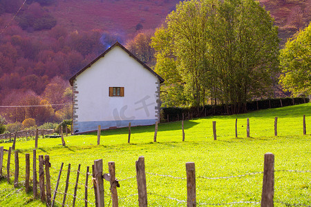 西班牙 Irati Pyrenees Navarra 秋天的草甸农场