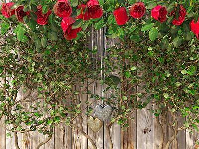 木板上的玫瑰和红心，情人节背景，婚礼日假期