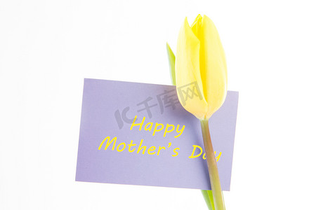 白色背景上带有淡紫色快​​乐母亲节贺卡的美丽黄色郁金香
