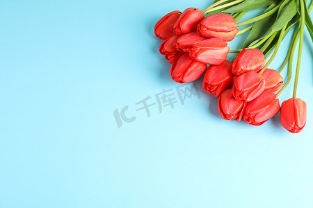 文字夏天摄影照片_一束美丽的红色郁金香，彩色背景上有绿叶，文字空间