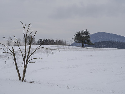 冬季田野和森林乡村积雪的景观与