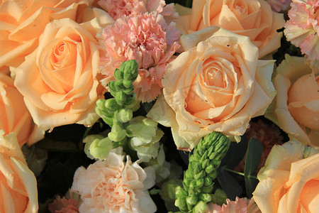 粉色玫瑰花瓣摄影照片_柔和的粉色玫瑰和康乃馨