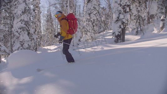 免费北欧摄影照片_一个人在白雪皑皑的森林里骑马下山。