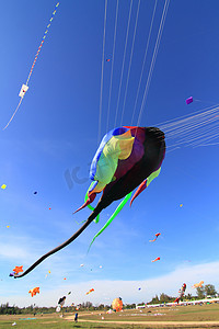 CHA-AM - 3 月 10 日： 在第 12 届泰国 Internati 的五颜六色的风筝