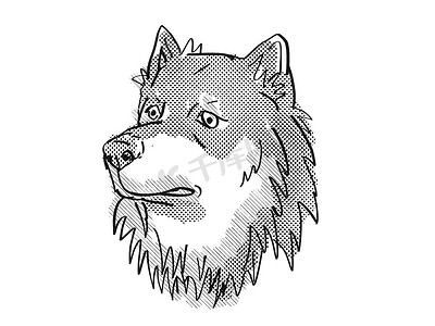 芬兰拉普猎犬品种卡通复古绘图