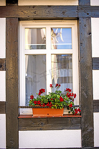 框架屋里开着漂亮花朵的窗户