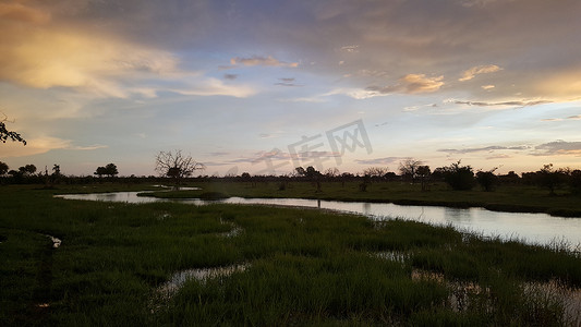莫雷米野生动物保护区的河流